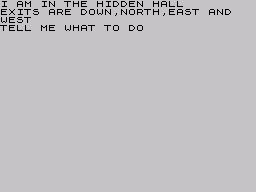 Adventure B (ZX Spectrum) screenshot: A junction point