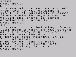 Adventure Quest (ZX Spectrum) screenshot: Take the bottle