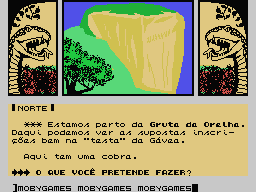 A Lenda da Gávea (MSX) screenshot: (Supposedly) alien carvings