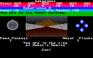 Alternate Reality: The City (Amiga) screenshot: Nighttime raining