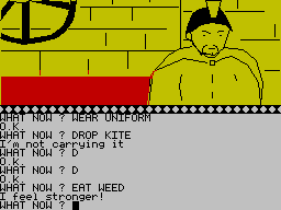 Arrow of Death Part II (ZX Spectrum) screenshot: A weed, not THE weed, I trust....