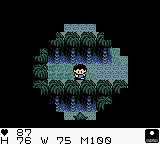 Survival Kids (Game Boy Color) screenshot: In the Night