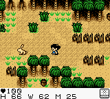 Survival Kids (Game Boy Color) screenshot: You can run but you can't hide forever - a rabbit pursuit