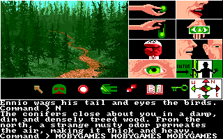 Tass Times in Tonetown (Amiga) screenshot: Woods