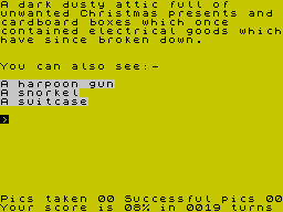 Terrormolinos (ZX Spectrum) screenshot: All useful stuff