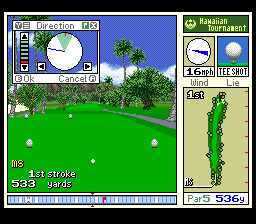 True Golf Classics: Waialae Country Club (SNES) screenshot: The first hole