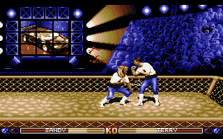 The Ultimate Arena (Atari ST) screenshot: Sandy comes in from below
