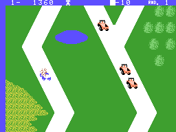 Up 'n Down (ColecoVision) screenshot: Crashed.