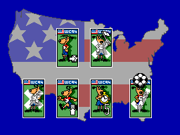World Cup USA 94 (SEGA Master System) screenshot: World Cup options