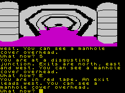 The Worm in Paradise (ZX Spectrum) screenshot: 'Didgusting Junction' sounds like a 3-chord punk-pop band