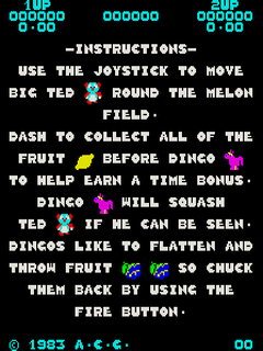 Dingo (Arcade) screenshot: Instructions