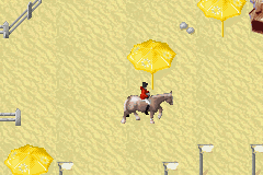 Horsez (Game Boy Advance) screenshot: At the beach
