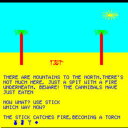 Treasure Island (Camputers Lynx) screenshot: Making a torch