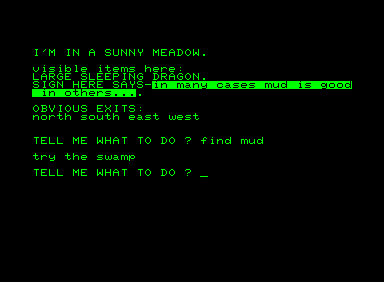 Adventureland (Commodore PET/CBM) screenshot: Time to find a swamp!