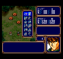 Alnam no Kiba: Jūzoku Jūnishinto Densetsu (TurboGrafx CD) screenshot: Random battle