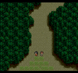 Alnam no Kiba: Jūzoku Jūnishinto Densetsu (TurboGrafx CD) screenshot: Heroes in a forest dungeon