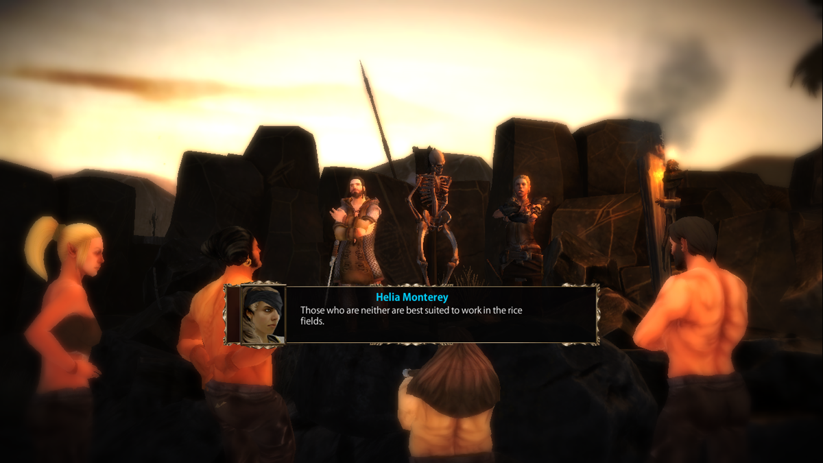Blackguards (Windows) screenshot: In a real tabletop RPG session, I might in fact choose the rice paddies.