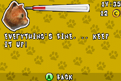 Paws & Claws: Best Friends - Dogs & Cats (Game Boy Advance) screenshot: The vet says the cat is fine.
