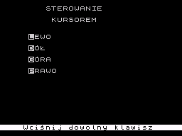 Algebraf: Krzyżówka Liczbowa (ZX Spectrum) screenshot: Controls