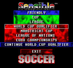 Championship Soccer '94 (SNES) screenshot: National Teams menu.