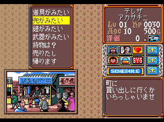 Princess Maker (TurboGrafx CD) screenshot: Shopping menu