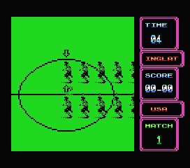 Rick Davis's World Trophy Soccer (MSX) screenshot: The players take the field.