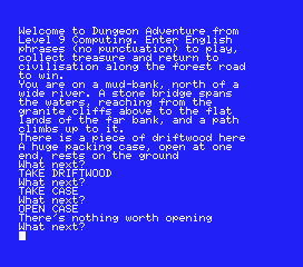 Dungeon Adventure (MSX) screenshot: I took the driftwood and packing case