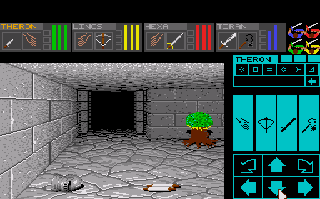 Dungeon Master: Theron's Quest (TurboGrafx CD) screenshot: another one.