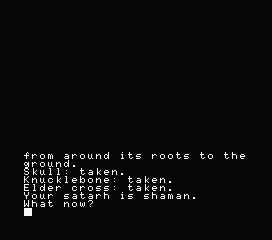 The Price of Magik (MSX) screenshot: I found some unusual stuff in the herb garden.