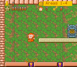 Spanky's Quest (SNES) screenshot: The blocks with the stars with you a push