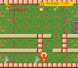 Spanky's Quest (SNES) screenshot: The speedy kiwis got us!
