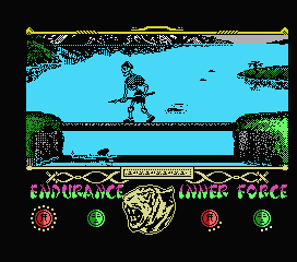 The Way of the Tiger (MSX) screenshot: I went splash.