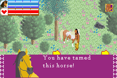 Spirit: Stallion of the Cimarron (Game Boy Advance) screenshot: Succeeded