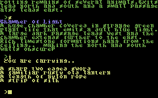 Underworld of Kyn (Commodore 64) screenshot: Checking the inventory