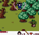 Xena: Warrior Princess (Game Boy Color) screenshot: She looks like Link in Zelda 2