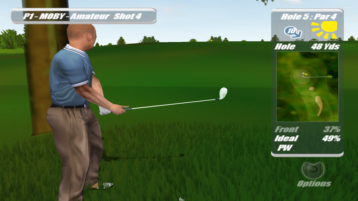 Real World Golf (Windows) screenshot: In the deep rough