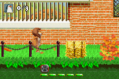Madagascar (Game Boy Advance) screenshot: The first stage of the tutorial, playing Alex the lion