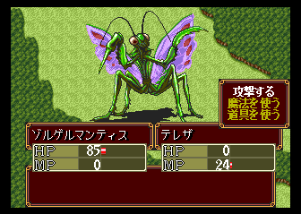 Princess Maker 2 (TurboGrafx CD) screenshot: You meet a bug in the forest...