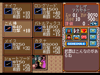 Princess Maker (TurboGrafx CD) screenshot: Lots of weaposn to choose from