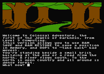 Jewels of Darkness (Atari 8-bit) screenshot: Colossal Adventure: starting location