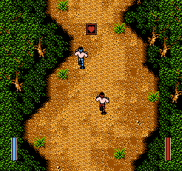 Ikari III: The Rescue (NES) screenshot: 2 player game