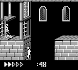 Prince of Persia (Game Boy) screenshot: My soul