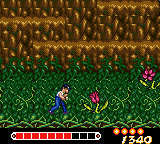 Yū Yū Hakusho: Horobishi Mono no Gyakushū (Game Gear) screenshot: These flowers attack with gases