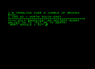 King Tut's Tomb Adventure (Commodore PET/CBM) screenshot: Holy bandaids! :S