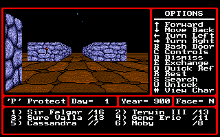 Might and Magic II: Gates to Another World (Amiga) screenshot: Night time in the city.