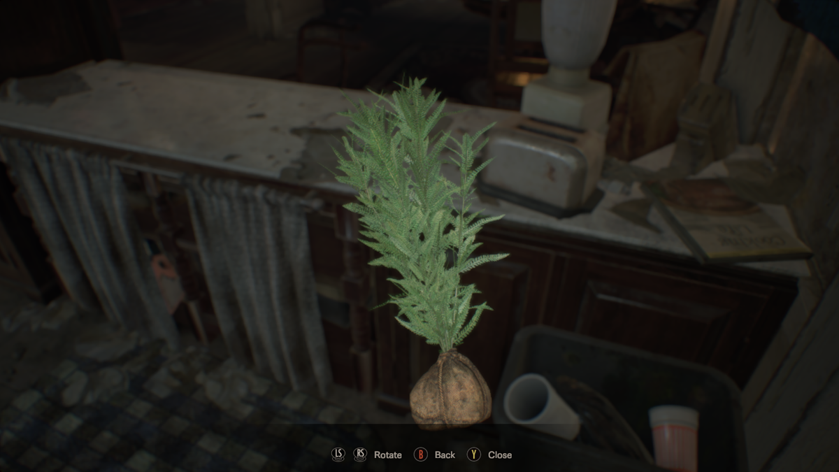 Resident Evil 7: Biohazard (Windows) screenshot: A green herb. All objects that you pick you can view in 3D