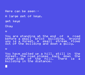 Adventure 1 (MSX) screenshot: I headed west