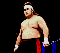 Shin Nihon Pro Wrestling '94: Battlefield in Tokyo Dome (TurboGrafx CD) screenshot: Looks pretty intimidating to me