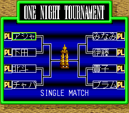 Super Fire Pro Wrestling Queen's Special (TurboGrafx CD) screenshot: "One night" mode