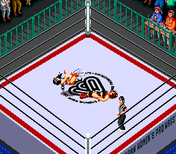 Super Fire Pro Wrestling Queen's Special (TurboGrafx CD) screenshot: Ouch...